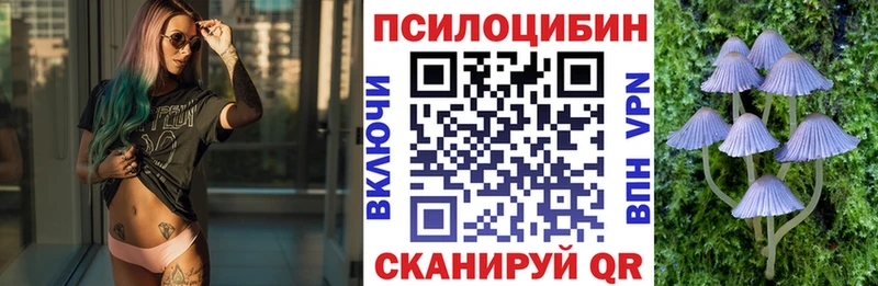 цены   Янаул  Псилоцибиновые грибы Cubensis 