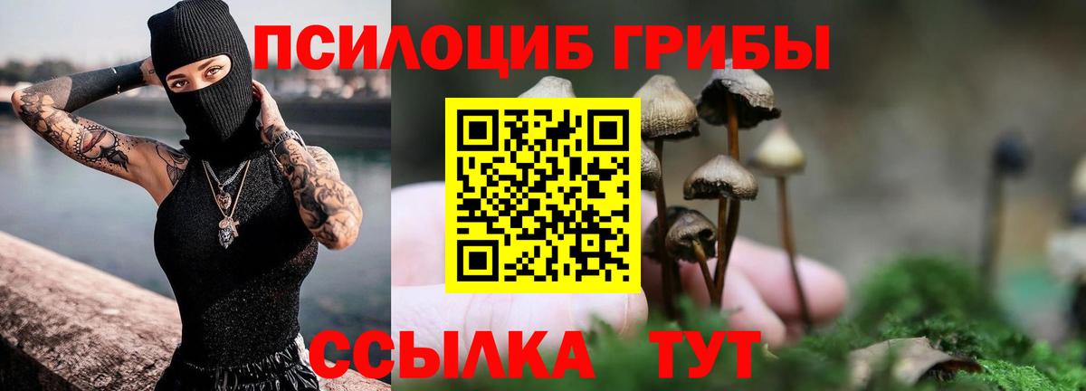 Псилоцибиновые грибы Magic Shrooms  Вход с VPN  Янаул  Галлюциногенные грибы Cubensis 